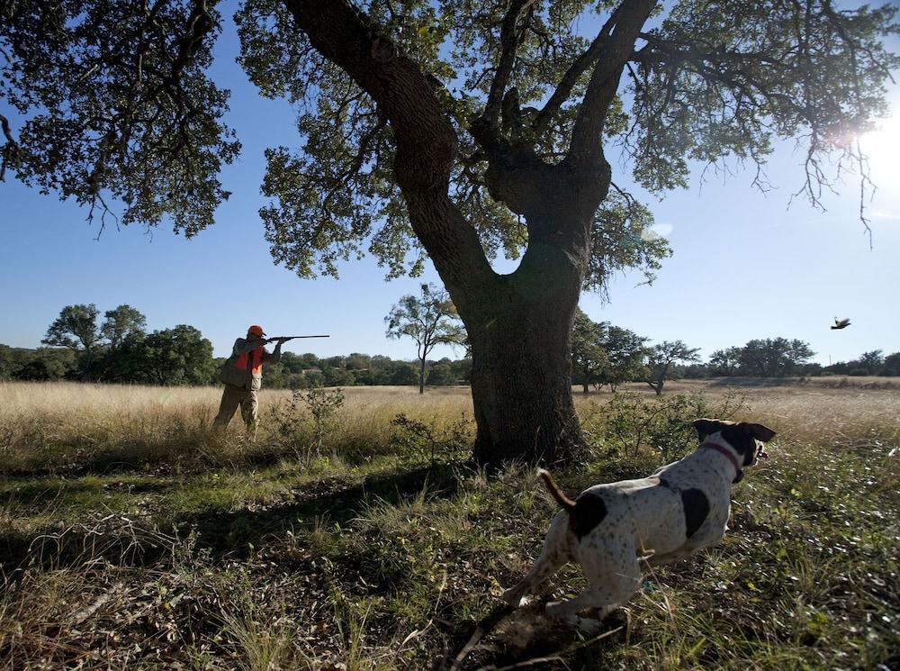 Joshua Creek Ranch Hotel Boerne Luaran gambar